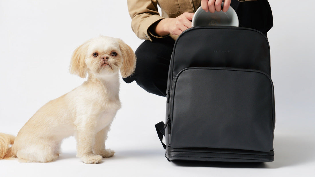 Fetchamo Core Backpack for dog owners being packed with a dog bowl beside a Shih Tzu