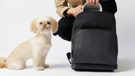Fetchamo Core Backpack for dog owners being packed with a dog bowl beside a Shih Tzu