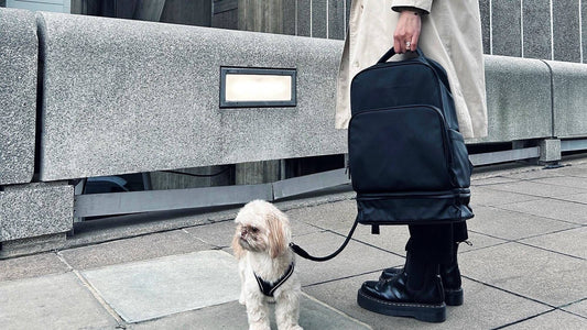 Woman in a beige trench coat holding Fetchamo's matte black Core Backpack, with a Shih Tzu on a lead standing beside a concrete urban backdrop