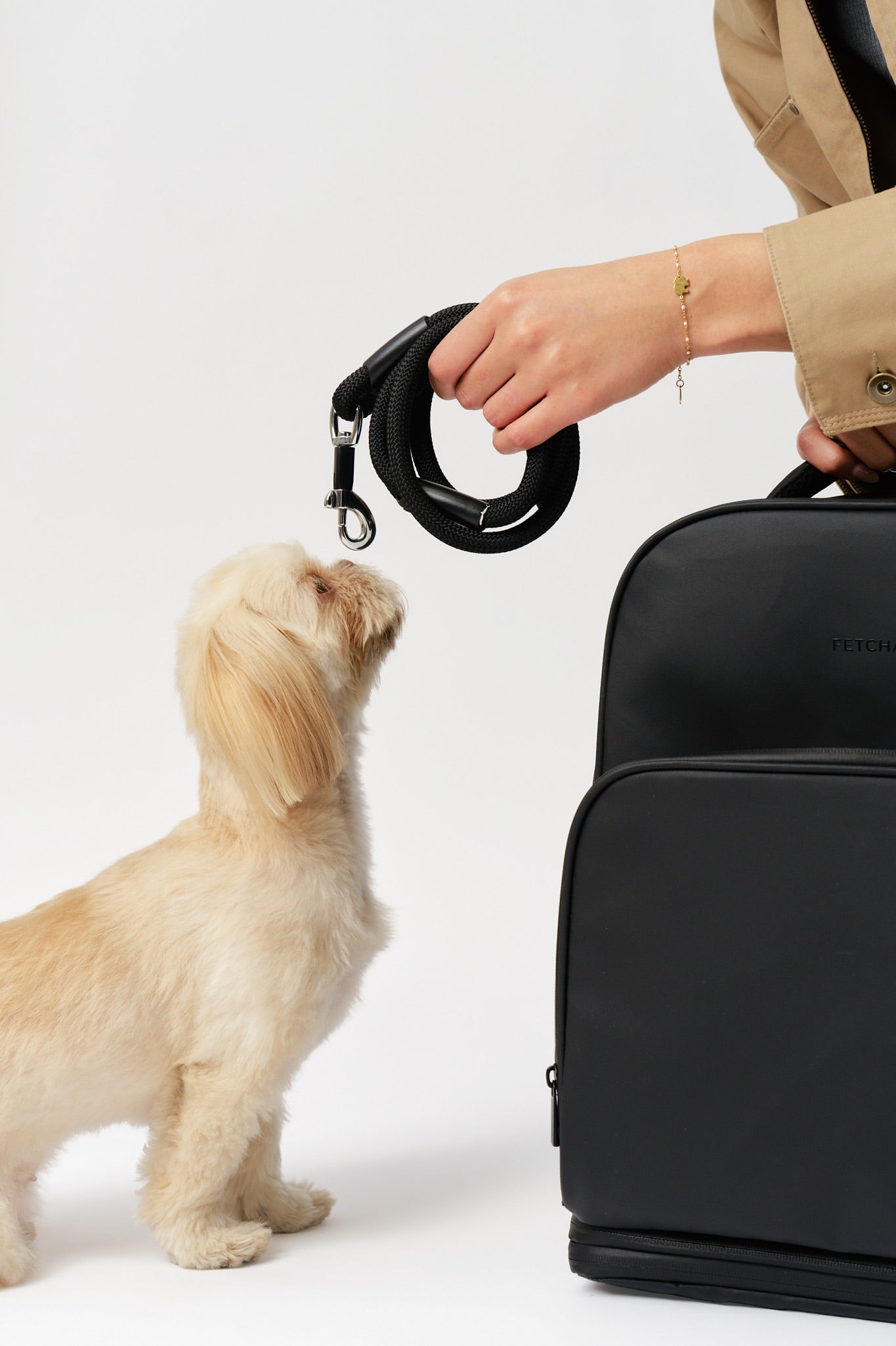 Black Fetchamo Core Backpack and dog lead beside a cream Shih Tzu sniffing the lead in a studio setting.